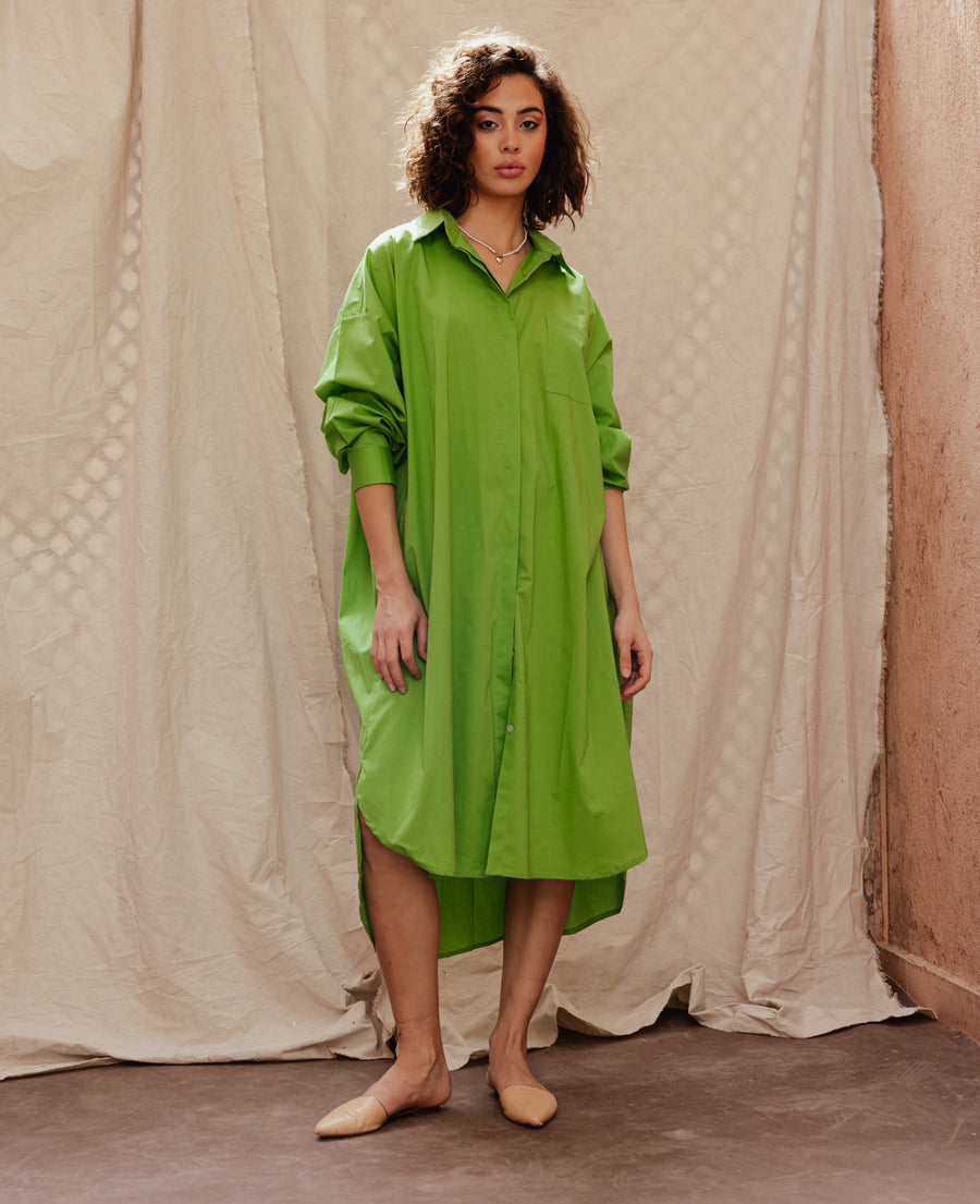 Solid Shirt Dress in Green