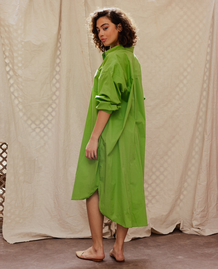 Solid Shirt Dress in Green